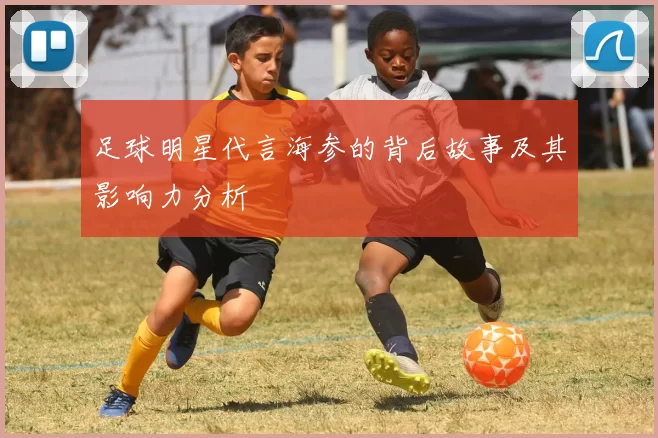 足球明星代言海参的背后故事及其影响力分析