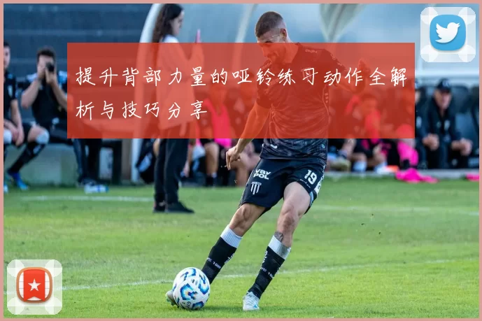 提升背部力量的哑铃练习动作全解析与技巧分享