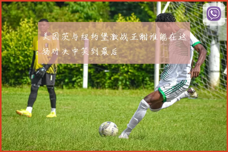 美因茨与纽约堡激战正酣谁能在这场对决中笑到最后